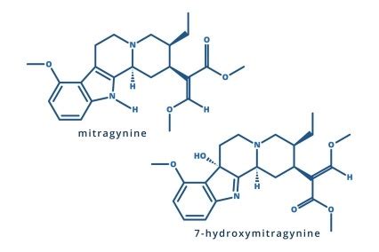 Its molecular formula is C23H30N2O5 and its molecular weight is 414. . 7hydroxymitragynine extract